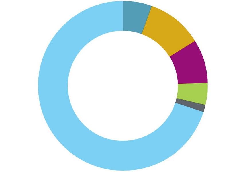 A circle graph showing different colors representing a percentage of giving..